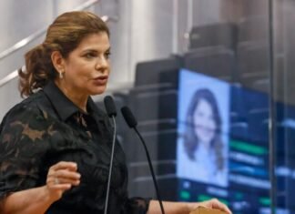 Alepe: Socorro Pimentel responde Álvaro Porto e diz que é impossível garantir 100% de segurança com dois anos e cinco meses