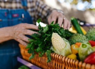 Prefeitura de Araripina lança programa Chega Junto Rural para levar serviços diretos aos agricultores do município