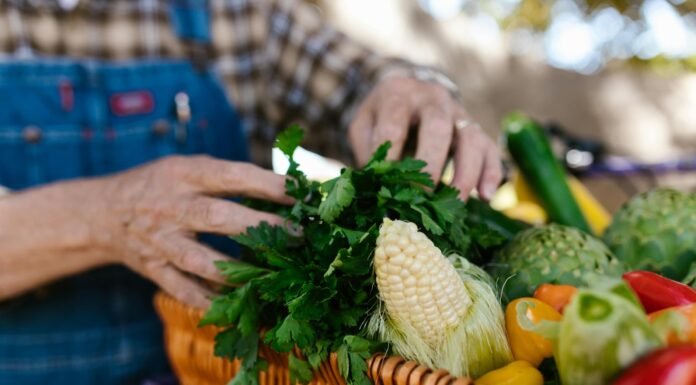 Prefeitura de Araripina lança programa Chega Junto Rural para levar serviços diretos aos agricultores do município