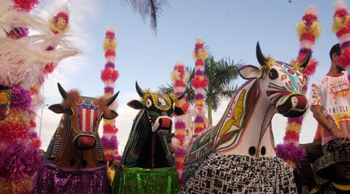 A relevância do patrimônio cultural imaterial hoje