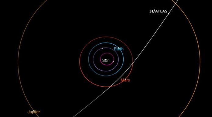 Cientistas alertam que cometa está vindo em direção à Terra