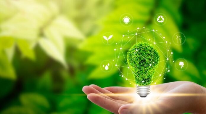 Planejamento de eventos sustentáveis para todos