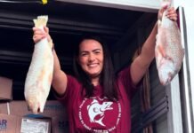 Cadastro para o Programa Peixe na Mesa é Aberto em Casinhas para a Semana Santa