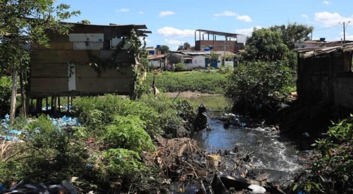 1_gm100822023-21547919