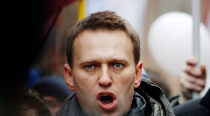 Investigação revela que Alexei Navalny foi envenenado com toxina de rãs sul-americanas