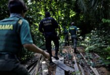 Início da Flexibilização do Licenciamento Ambiental e a Análise do STF