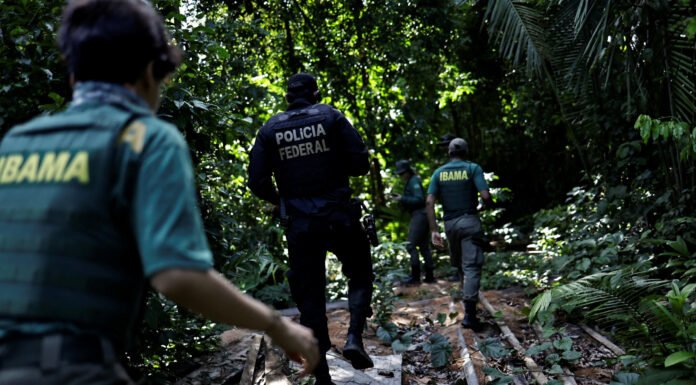 Início da Flexibilização do Licenciamento Ambiental e a Análise do STF