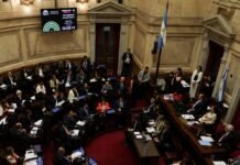 Câmara Argentina Aprova Reforma Trabalhista em Meio a Greve Nacional