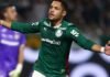 Palmeiras Consolida Liderança ao Derrotar Fluminense no Campeonato Brasileiro