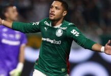 Palmeiras Consolida Liderança ao Derrotar Fluminense no Campeonato Brasileiro