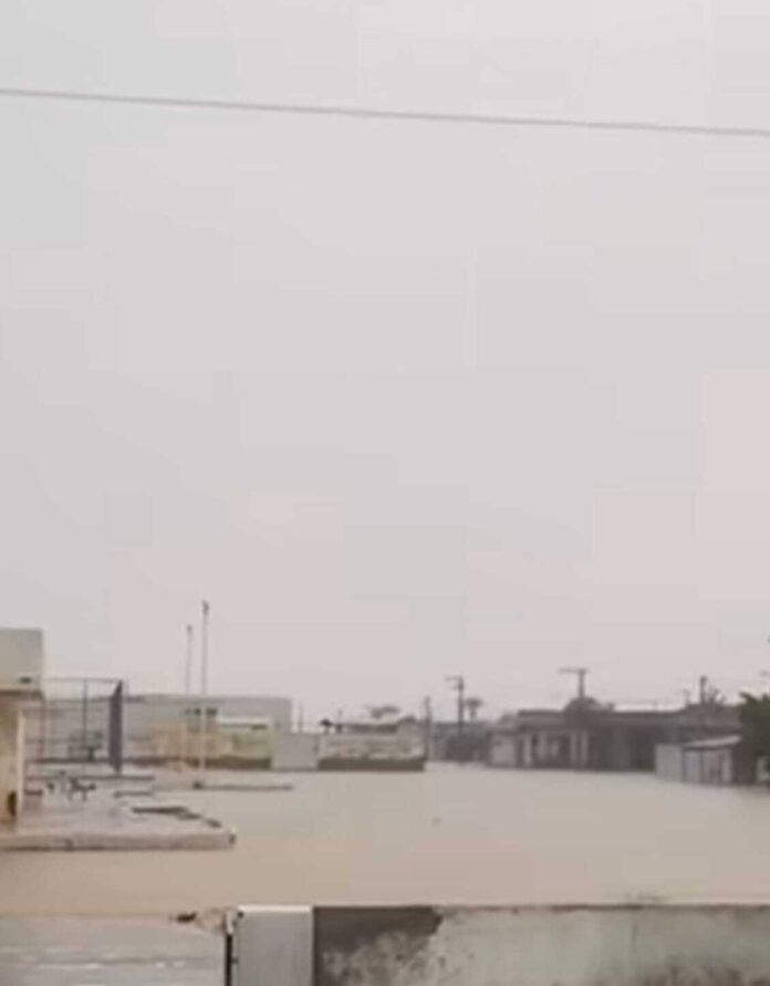 41dca5ce-68e4-444c-9b15-ce2333fdf317