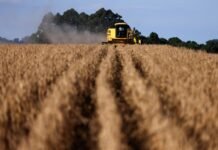 AgroGalaxy (AGXY3) Realiza Reestruturação Administrativa Estratégica