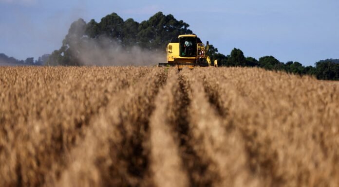 AgroGalaxy (AGXY3) Realiza Reestruturação Administrativa Estratégica