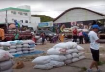 Análise dos Preços Agrícolas em Araripina: Mandioca e Grãos em 25 de Outubro