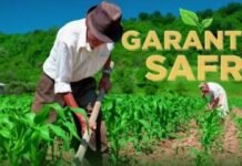 Prorrogação do Prazo para Adesão ao Garantia-Safra em Pernambuco