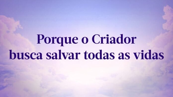 Jinwen2-Banner-Article-1920x1080-795x447-4