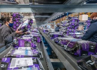 JPMorgan Reavalia Magazine Luiza: Manutenção da Venda e Redução do Preço-Alvo