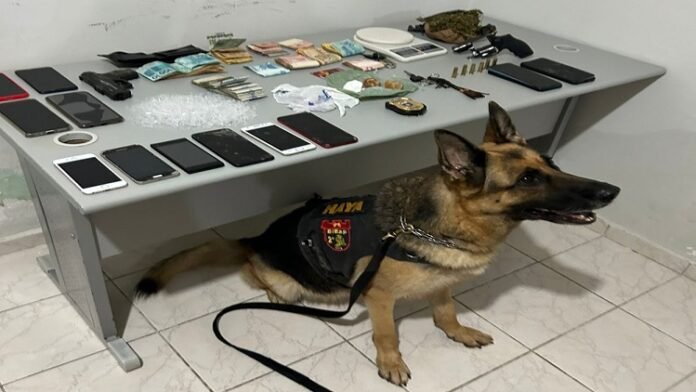 Policia-Civil-deflagra-operacao-em-Bodoco-e-apreende-armas-drogas-veiculos-e-celulares