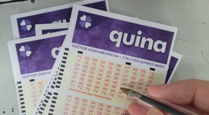 Resultados do Concurso 6954 da Quina: Números Sorteados e Prêmio em Jogo
