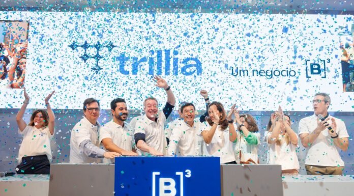 B3 Lança Trillia: Nova Unidade Focada em Inteligência de Dados