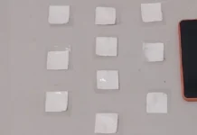 Mulher Detida por Tráfego de Drogas em Uauá, Bahia