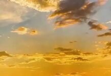 Reflexões de Carnaval: A Arte de Viver o Presente