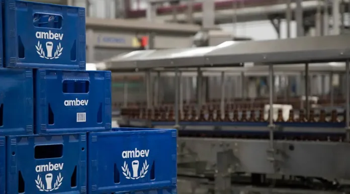 Resultados da Heineken Indicam Cautela no Setor de Cervejas e Mantêm Visão Neutra para Ambev