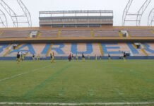 Palmeiras e Fluminense se Enfrentam em Confronto Decisivo no Brasileirão