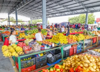 Funcionamento das Feiras Livres em Petrolina Durante o Carnaval