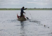 Senador Beto Faro Debate Impactos da MP 1.323/2025 no Seguro-Defeso da Pesca Artesanal no Pará