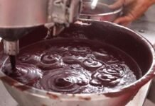 Belém Lança Lista de Estabelecimentos Autorizados para Venda de Açaí com Foco na Saúde Pública