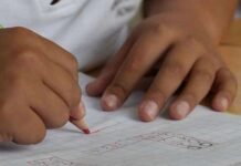 Fórum de Parcerias e Estratégias para a Educação 2026: Um Marco para a Educação Pública no Pará