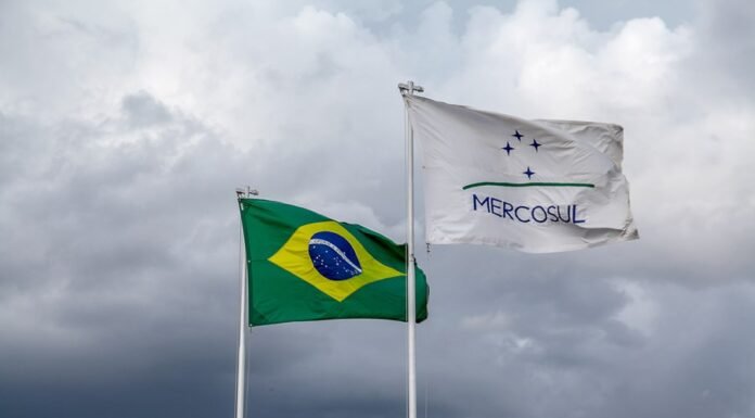 Desafios e Oportunidades do Acordo Mercosul–UE para o Agronegócio Brasileiro
