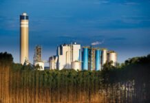 Itaú BBA Ajusta Recomendações para Klabin e Suzano Após Resultados do 4º Trimestre