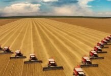 Desafios do Agronegócio Brasileiro: Quase 2000 Empresas em Recuperação Judicial