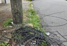 Voz do Leitor: Questões Urbanas e Desafios no Recife e Região