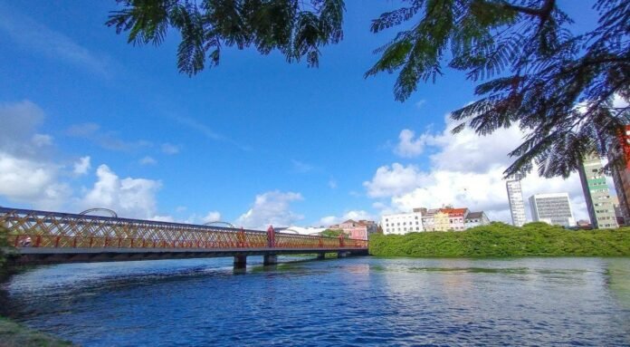 1_img_20221125_064535192-22506761