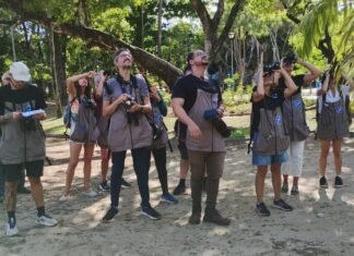 Pernambuco se Destaca no Turismo de Natureza com o I Congresso de Observação de Aves