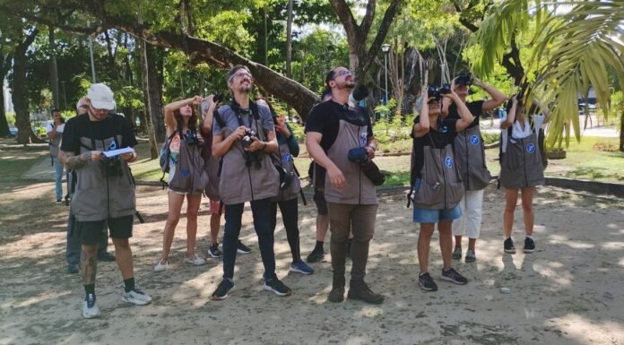 Pernambuco se Destaca no Turismo de Natureza com o I Congresso de Observação de Aves