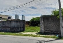Terreno Abandonado no Cabanga Gera Insegurança e Preocupações da Comunidade