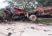 Colisão Fatal na BR-232: Neblina Causa Mortes de Dois Caminhoneiros