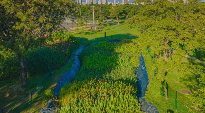 1_whatsapp_image_2026_03_30_at_12_05_25-36587927