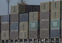 Caminhoneiros do Porto de Santos Iniciam Greve Contra Taxa de Pátios Reguladores