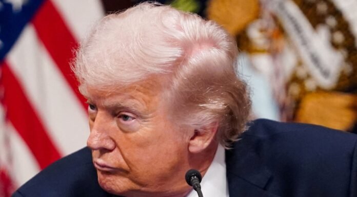 Mudança na Percepção dos Brasileiros sobre os EUA e o Impacto do Apoio de Trump a Flávio Bolsonaro