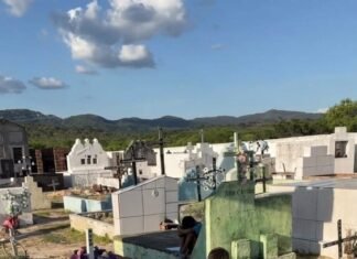 “Pequeno herói”: menino de 6 anos vai ao cemitério mostrar notas escolares para a mãe falecida