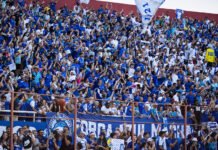 Cruzeiro e Vasco se Enfrentam no Brasileirão 2026: Detalhes da Partida e Onde Assistir