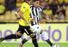 Botafogo Empata em Guayaquil e Aumenta Chances na Pré-Libertadores