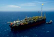 Importância dos Investimentos da Petrobras no Setor de Gás Natural