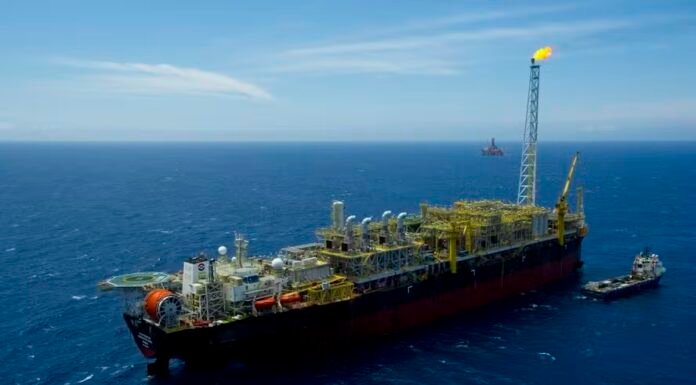 Petrobras Adquire Participação em Campos de Tartaruga Verde e Espadarte por US$ 450 Milhões