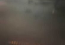 Jacaré é Avistado em Área Urbana Durante Tempestade em Salgueiro-PE